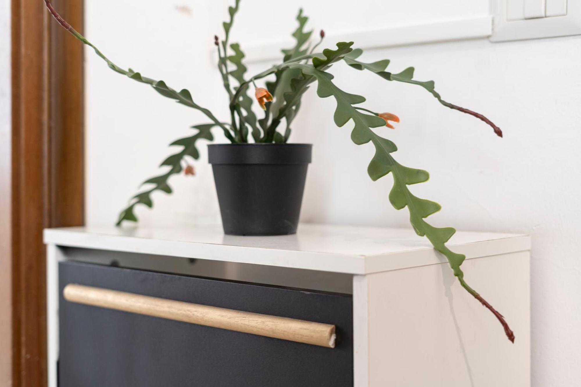 Apartamento I Host - Pasteur 15-2 Milán